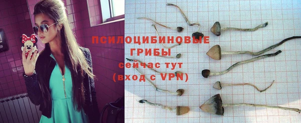 MESCALINE Магас