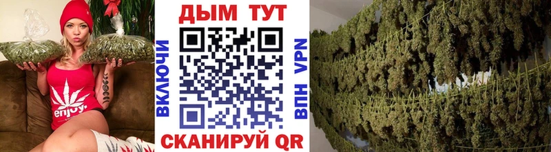 Бошки марихуана OG Kush Ядрин
